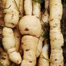 하수농장 이미지