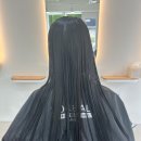 노디헤어