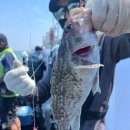 킹콩낚시 이미지