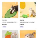 행복한 멍냥이 이미지