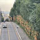 공원로352번길 이미지