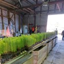 앞섬농장 이미지