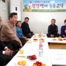 태양지사