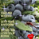 모든 것은 잠시 빌려 쓰는 것일 뿐 이미지