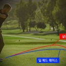 드라이버독 네이버블로그