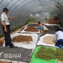 칠보파출소 이미지