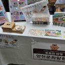 양천중앙도서관 이미지