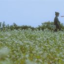 부일청소년수련원 이미지