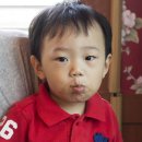 우경유치원 | 부산 기장 수산과학관 관람후기