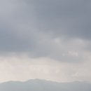 자운 이미지