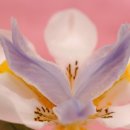 지역사회복지론 이미지