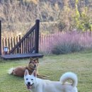 산아래펜션A동 이미지