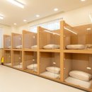 광주 애견유치원 애견호텔 플레이멍 이미지