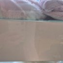 엔젤아쿠아펫가든 이미지