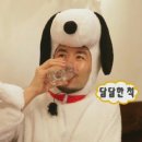 뚜야헤어