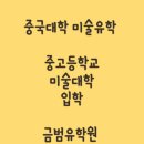 중국유학컨설팅 네이버블로그