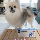 (주)케어사이드 | 건강할 때 미리 챙겨야 하는 관절 [케어사이드 모두 콘드로프로텍 프리미엄]
