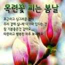 (주)사람과사람사이 이미지