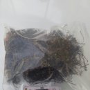 봉남우체국 Daum카페