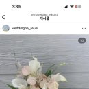 웨딩비르우엘 이미지