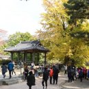 영주 소수서원 이미지