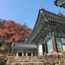 사천윤스테이 | 당일치기 전남 구례 여행 후기