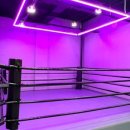 더뉴복싱 이미지