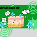 가수원중학교 이미지