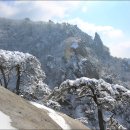 용화산 티스토리