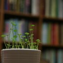 삼족오한의원 이미지