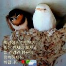 국민보건안마센터 이미지