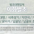 이화벌초