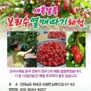 검산 농장 이미지