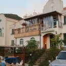 로로포레 이미지