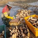 명당농장 이미지