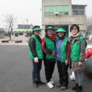 크린코리아 이미지