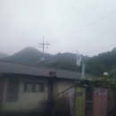 한작골농장 Daum카페