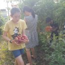 대석농장 이미지