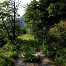 스트로마톨라이트 이미지