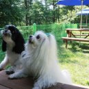 동물놀이터 화장실 이미지