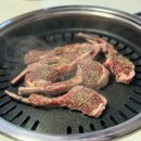 두바이애견풀빌라2 이미지