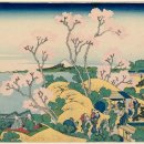 Katsushika Hokusai - 불후의 일본화 이미지