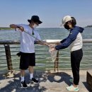 산해진미 이미지