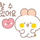 성인발레 입문,초급 이미지