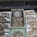 더 플러스마트 | 전주 대형마트 장보기 좋은 곳, 홈플러스 대신 세이브존 전주코아점 정착 후기