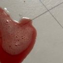 하나카동물병원 이미지