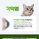 초록동물병원 이미지