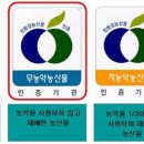 기능성머쉬 이미지