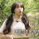 달콤언니 Daum카페