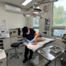 더존 동물병원 이미지